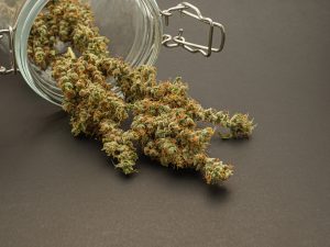 Hello High Dispensary provides top-quality cannabis products in southern New Jersey. Here, we provide insight into the differences between smoking and vaping cannabis to help users decide which is best for them.