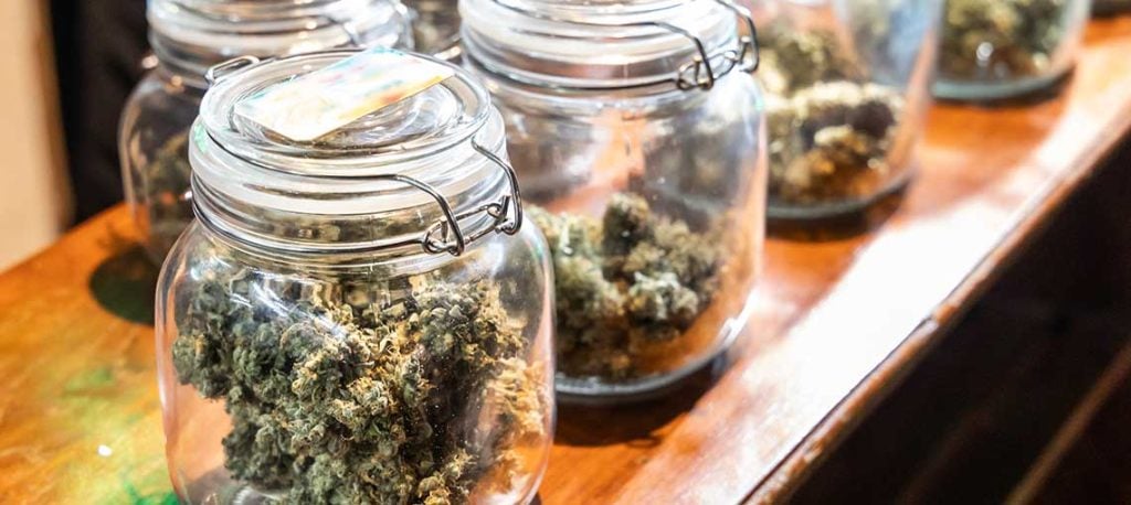 nj weed from a dispensary in new jersey with same-day weed delivery to South New Jersey.