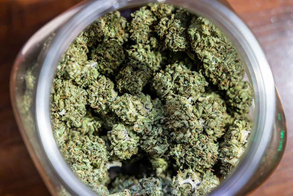 Legal cannabis for sale at a NJ dispensary near me in Hammonton New Jersey.