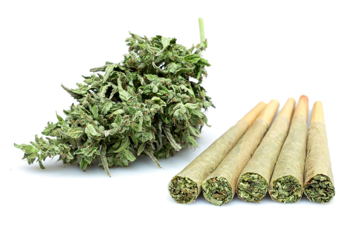Looking for info on pre rolls in New Jersey? Learn about pre-rolled joints, cones, THCA pre-rolled weed, & where to buy pre-rolls near me.