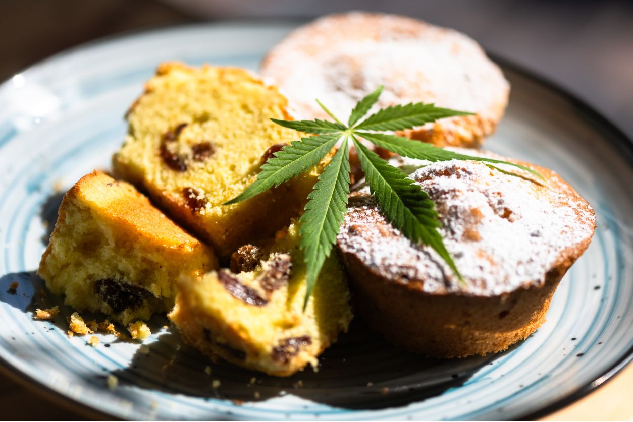Looking for fresh, potent, & delicious edibles in New Jersey? Our NJ marijuana dispensary offers weed delivery & we will be happy to help.