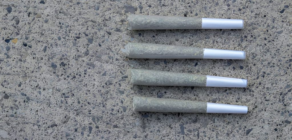 Size matters more than you think. Smaller Dogwalkers pre rolls or mini-joints are perfect for quick breaks or solo sessions.