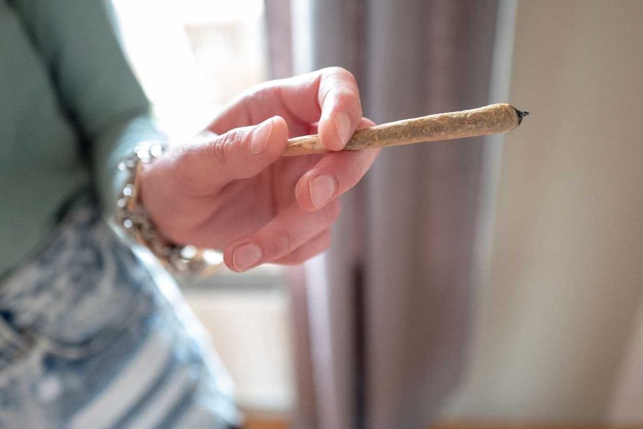 Order quality pre rolls in Hammonton, New Jersey, or choose weed delivery in NJ for discreet shopping. Here's what's available at your favorite weed shop.