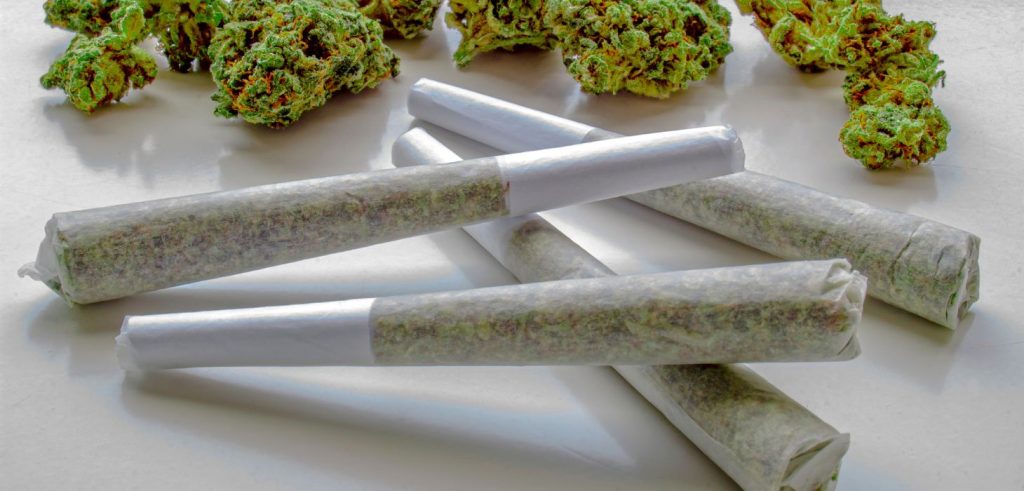 A great pre roll starts with excellent cannabis buds for sale. The following qualities separate premium joints from average ones: