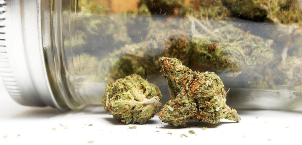 Our Buena Vista dispensary offers one of the most diverse cannabis selections in New Jersey. You’ll find premium flower, concentrates, delicious edible weed, and more.