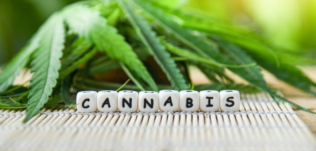 At Hello High, we know people want options. Every customer is a little different. Some stick with old-school NJ weed flower.