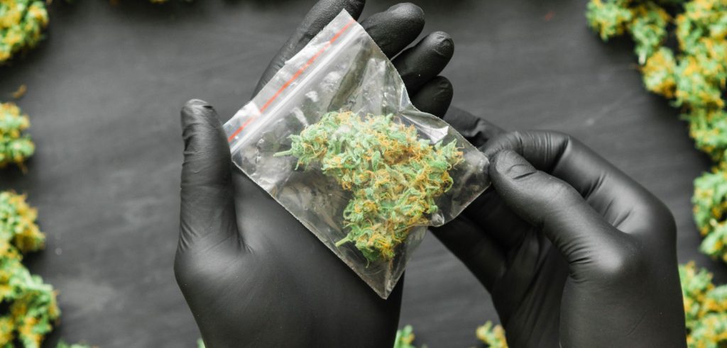 We proudly deliver cannabis daily to Buena Vista Township and the communities around it. If you live in one of these towns, you are inside our core service zone for same-day delivery.