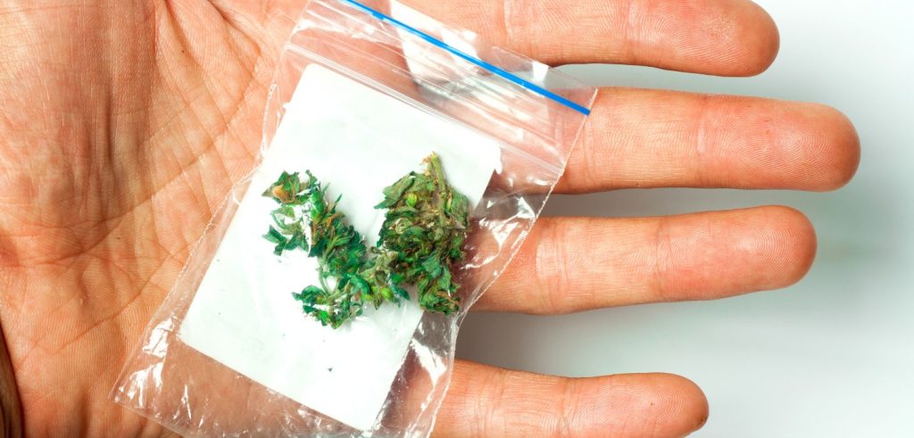 Flower is still king in New Jersey and for good reason. It is familiar, it is versatile, and it hits the way classic cannabis is supposed to. 