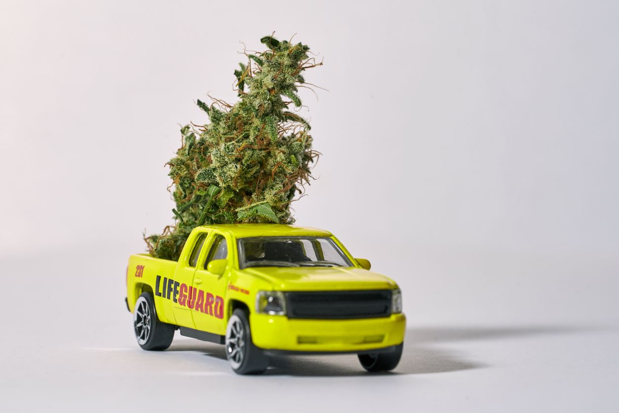 Discover how to order fast, legal weed delivery in South Jersey. Hello High makes it easy with quick ordering, premium products, and same-day delivery near you.