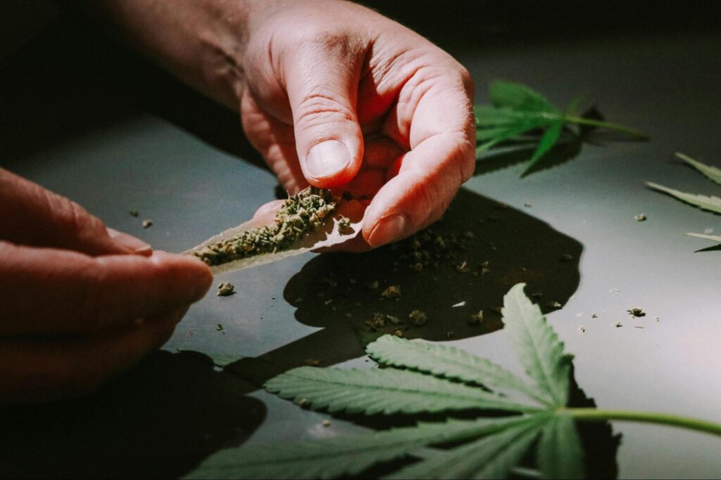 Close-up of hands rolling a cannabis joint with marijuana leaves scattered around. Source - Pexels