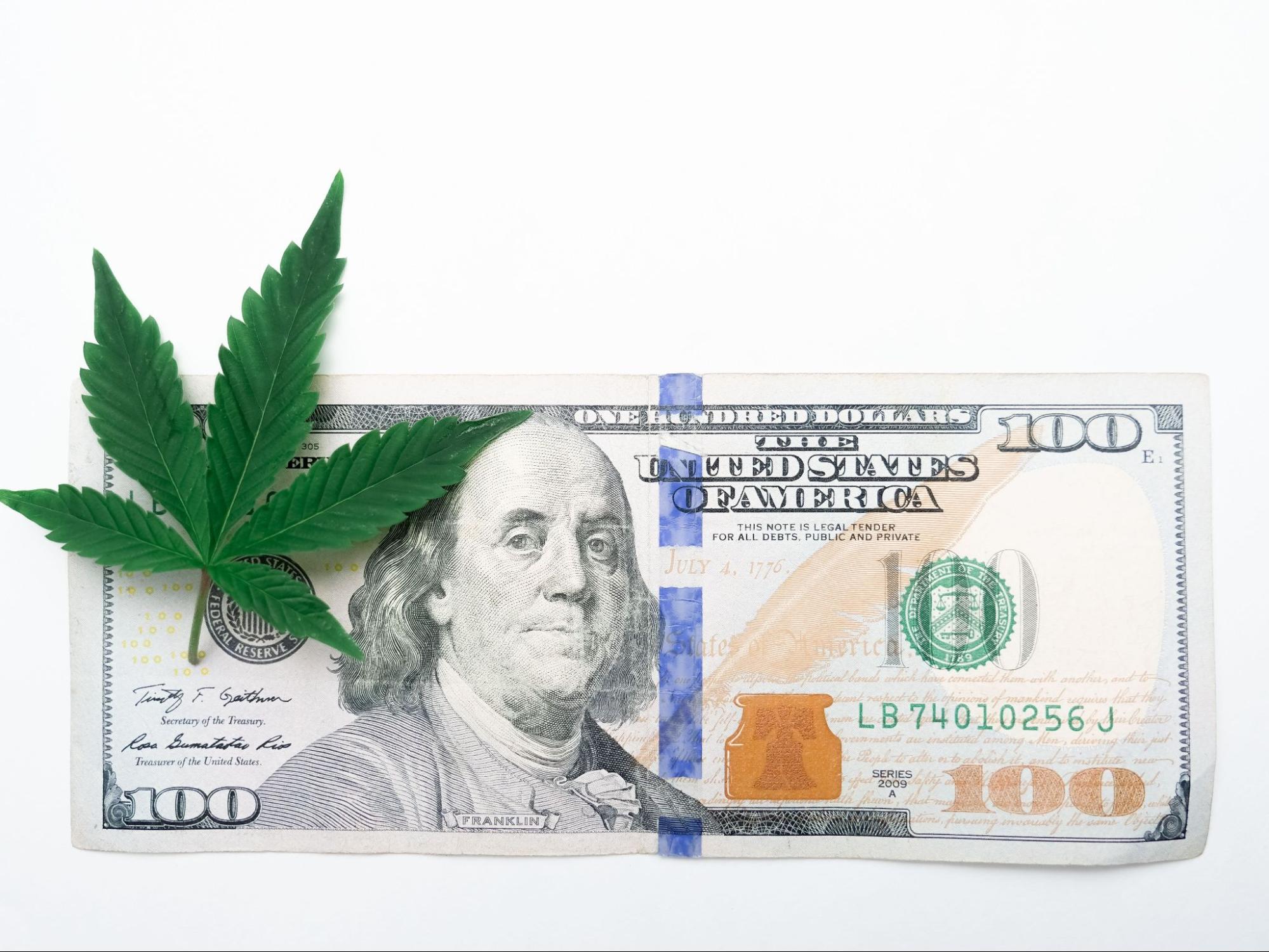 Cannabis leaf on a $100 bill. Source - Pexels
